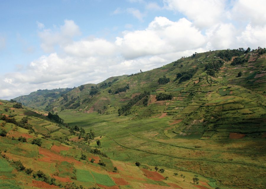 Agricultural information